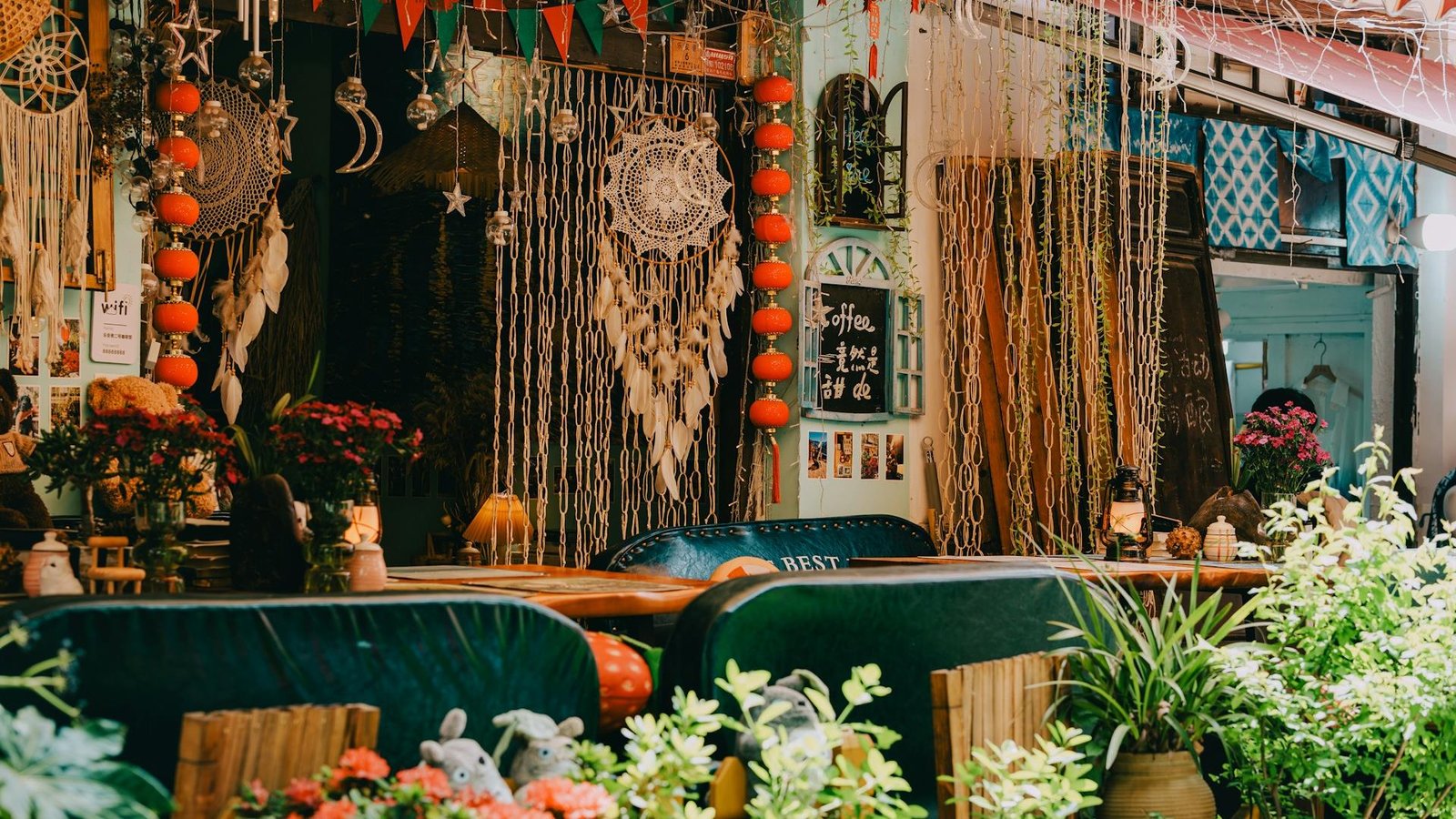 a-squids-z-uT7UacpNrf0-unsplash